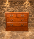 Early 19th Century Regency Mahogany Chest of Drawers | Antique English Chest c.1820–1840
