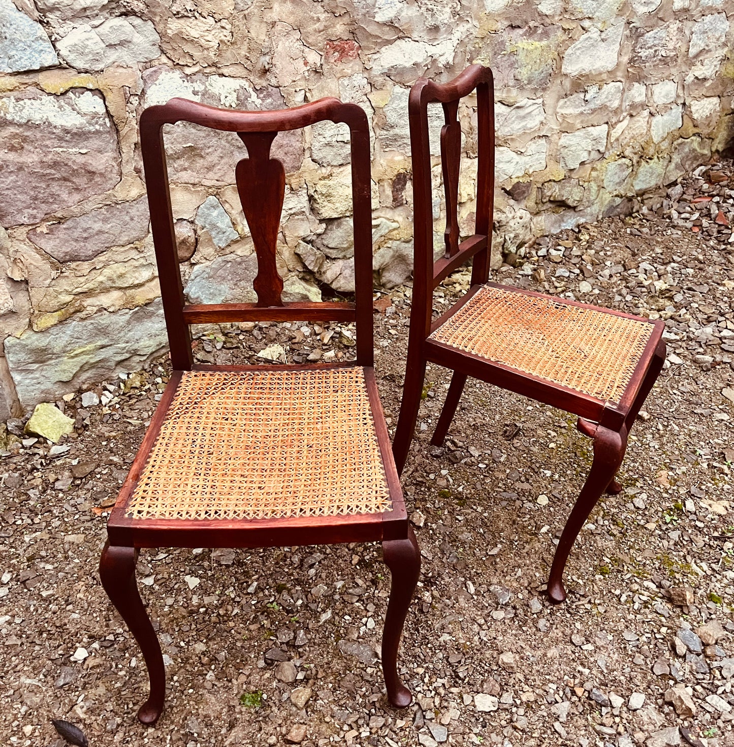 Vintage Pair of Cane Seat Chairs – Carved Back Early 20th Century Seating