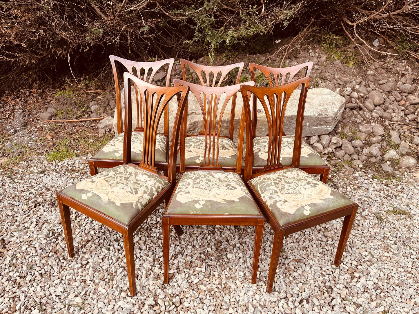 Set of 6 Antique Edwardian Mahogany Dining Chairs – Sheraton Revival Inlaid Chairs Circa 1910