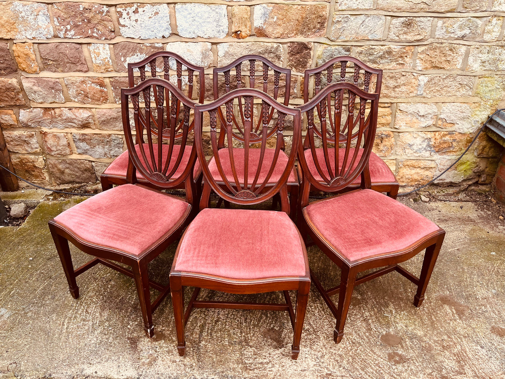 Set of Six Georgian Style Mahogany Shield Back Dining Chairs – Vintage Hepplewhite Style