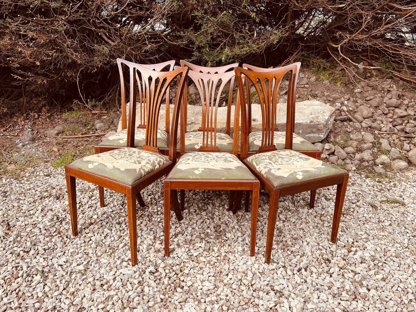 Set of 6 Antique Edwardian Mahogany Dining Chairs – Sheraton Revival Inlaid Chairs Circa 1910