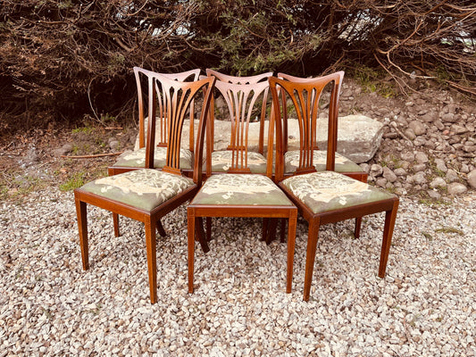 Set of 6 Antique Edwardian Mahogany Dining Chairs – Sheraton Revival Inlaid Chairs Circa 1910
