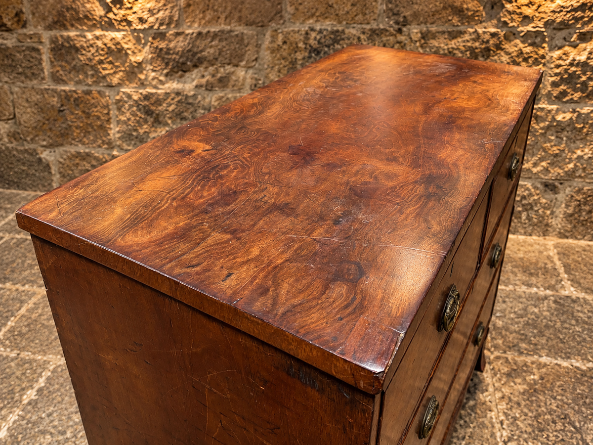 Antique Burr Walnut Chest of Drawers – Georgian Regency c.1810–1830
