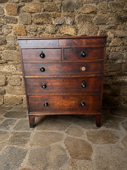Antique Georgian Mahogany Chest of Drawers – Early 19th Century Country House Chest