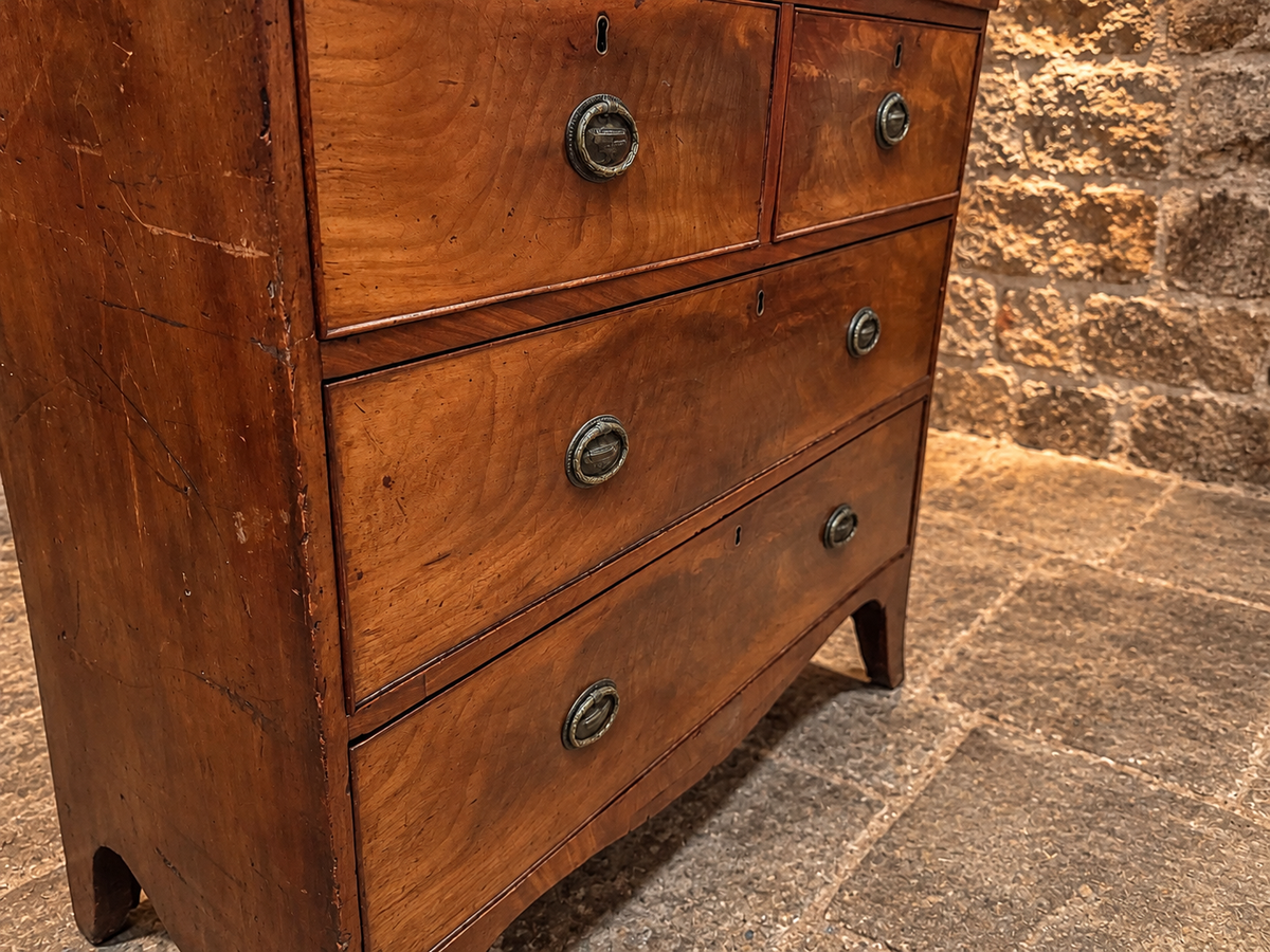 Antique Burr Walnut Chest of Drawers – Georgian Regency c.1810–1830