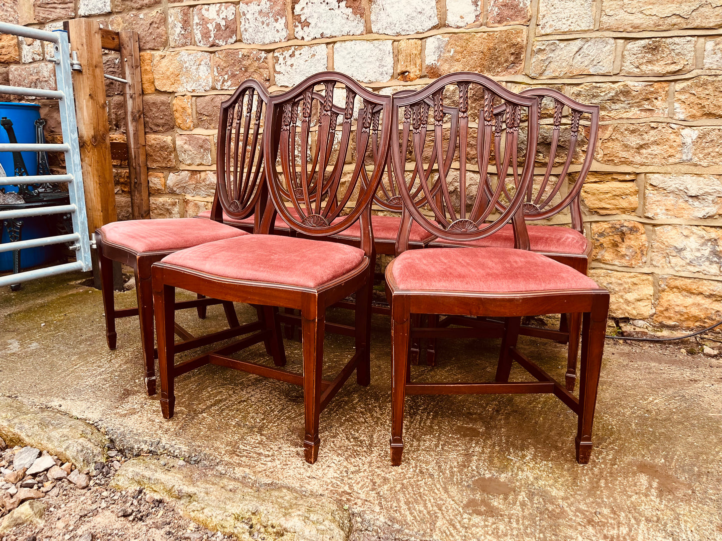 Set of Six Georgian Style Mahogany Shield Back Dining Chairs – Vintage Hepplewhite Style