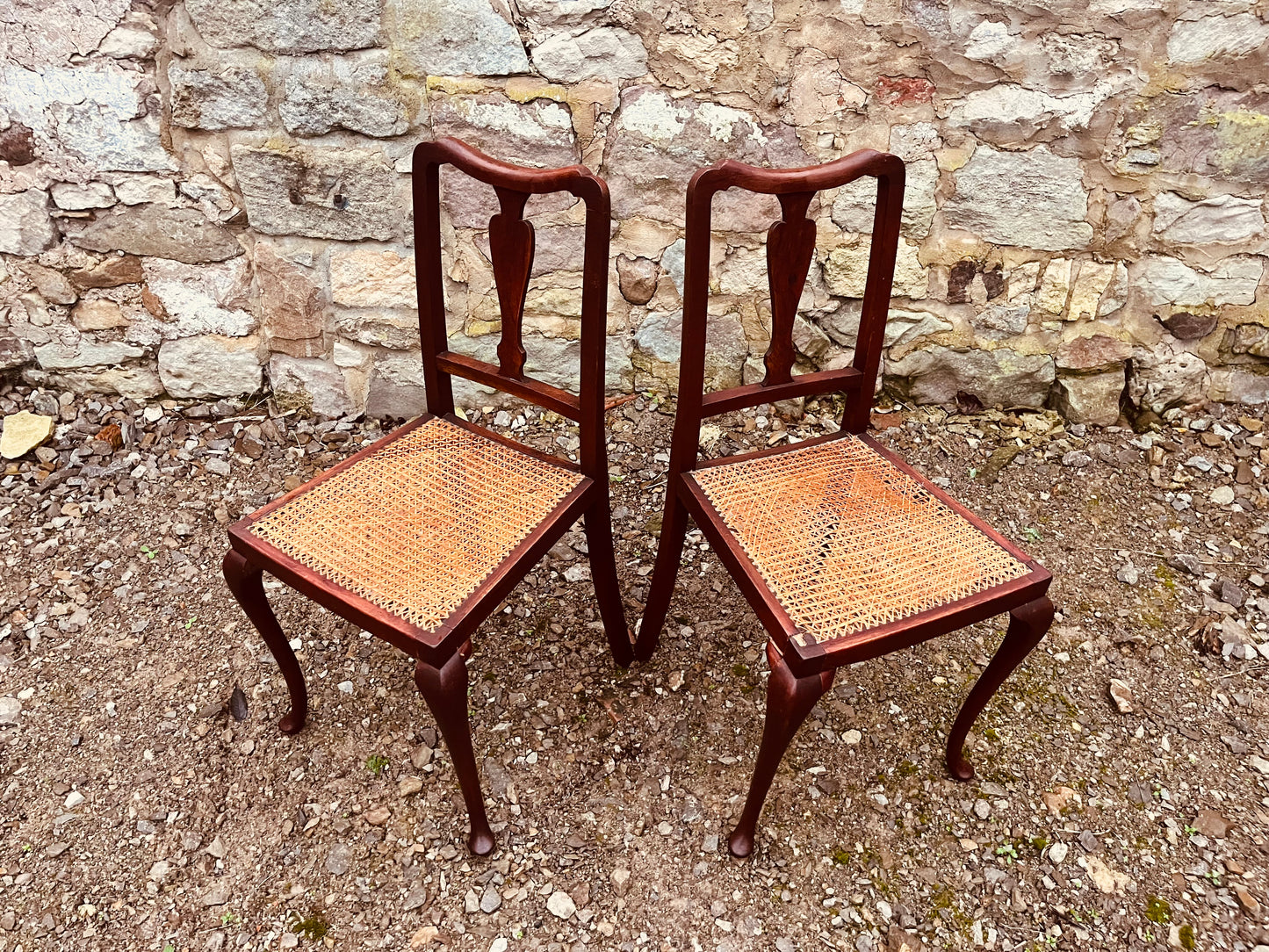 Vintage Pair of Cane Seat Chairs – Carved Back Early 20th Century Seating