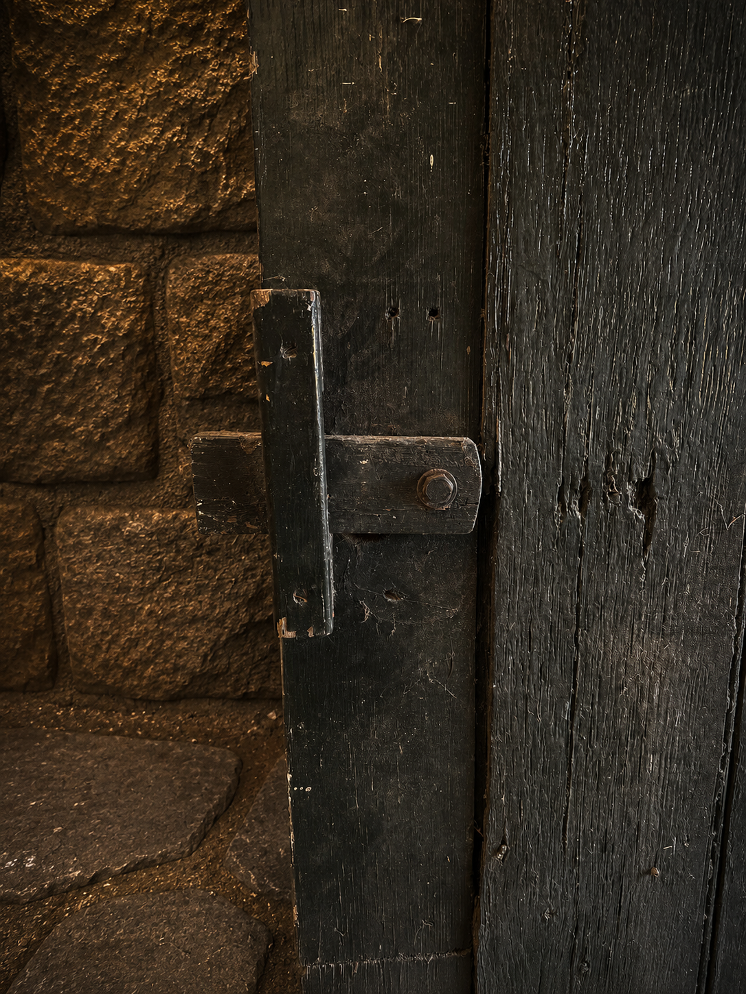 Antique Georgian Pine Stable Door c.1820-1860