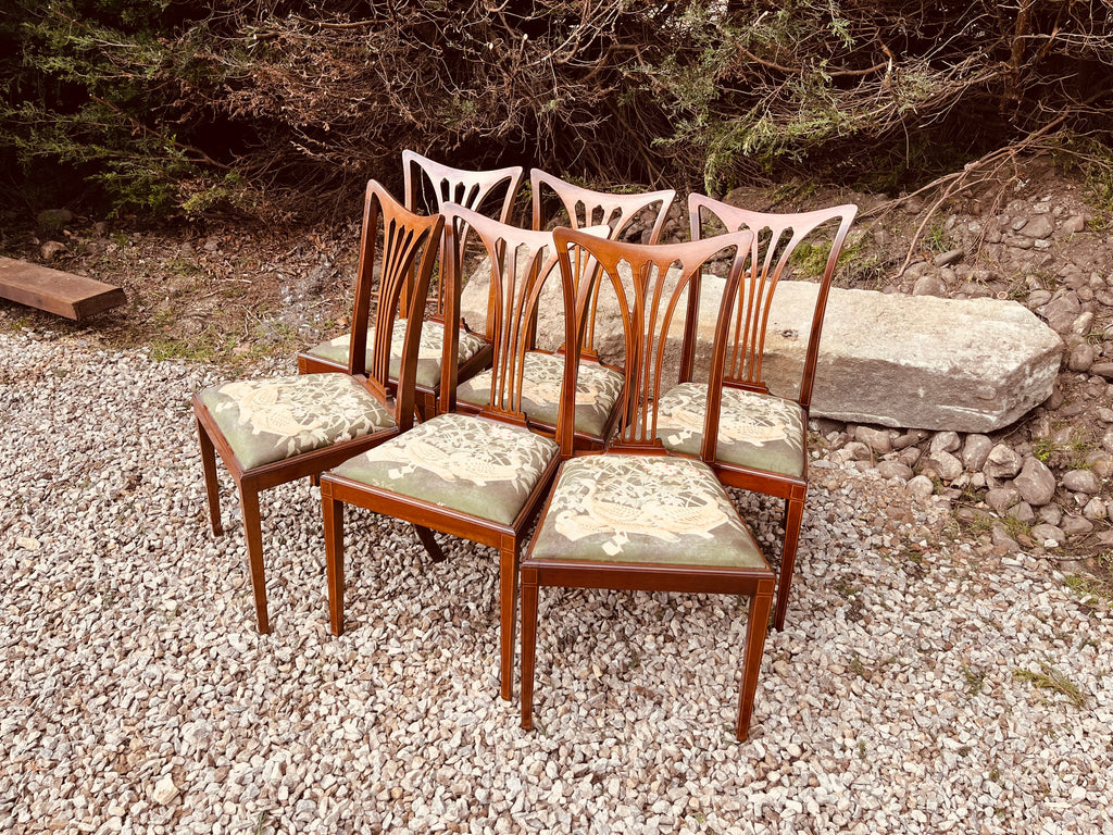 Set of 6 Antique Edwardian Mahogany Dining Chairs – Sheraton Revival Inlaid Chairs Circa 1910