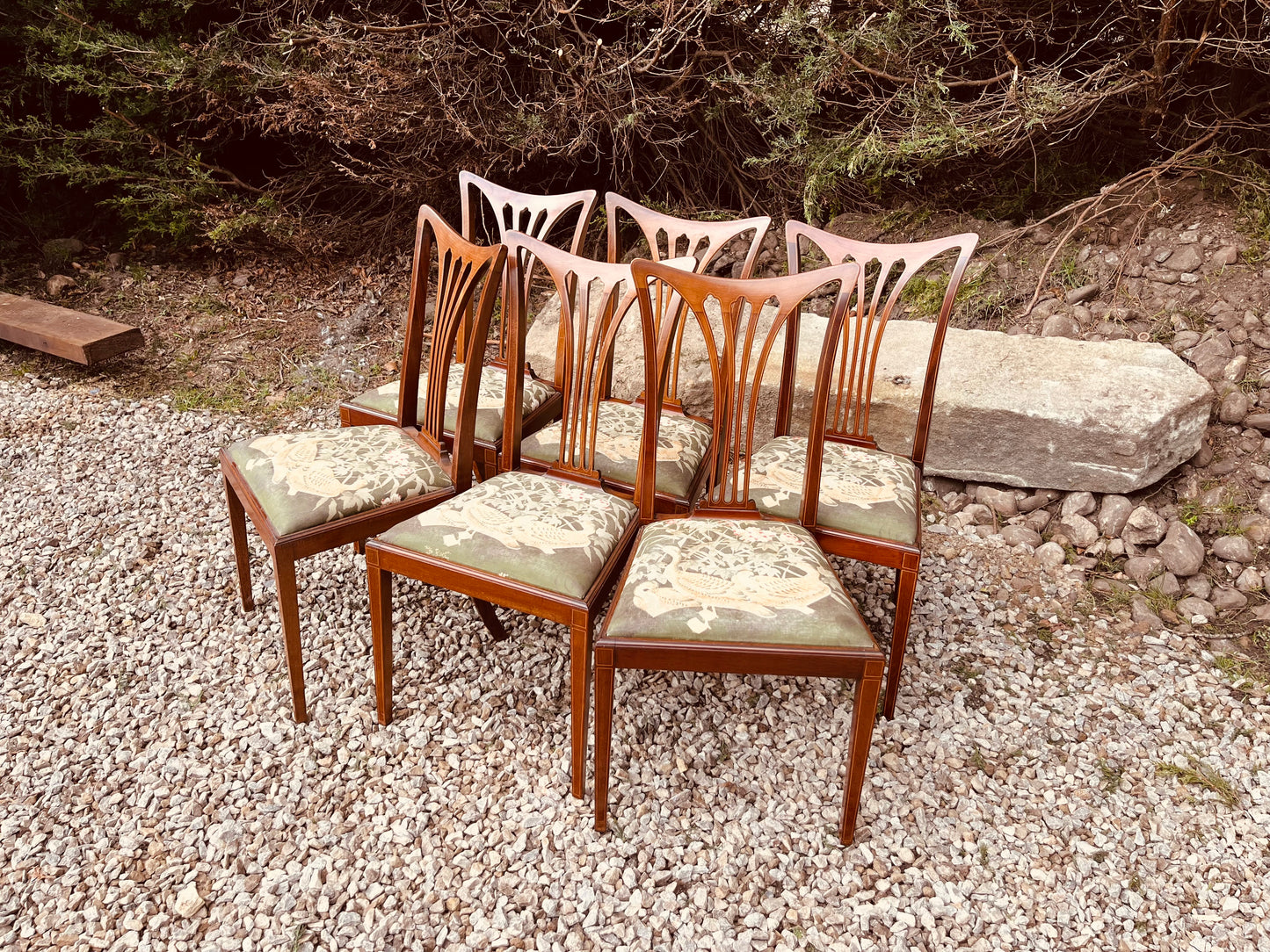 Set of 6 Antique Edwardian Mahogany Dining Chairs – Sheraton Revival Inlaid Chairs Circa 1910
