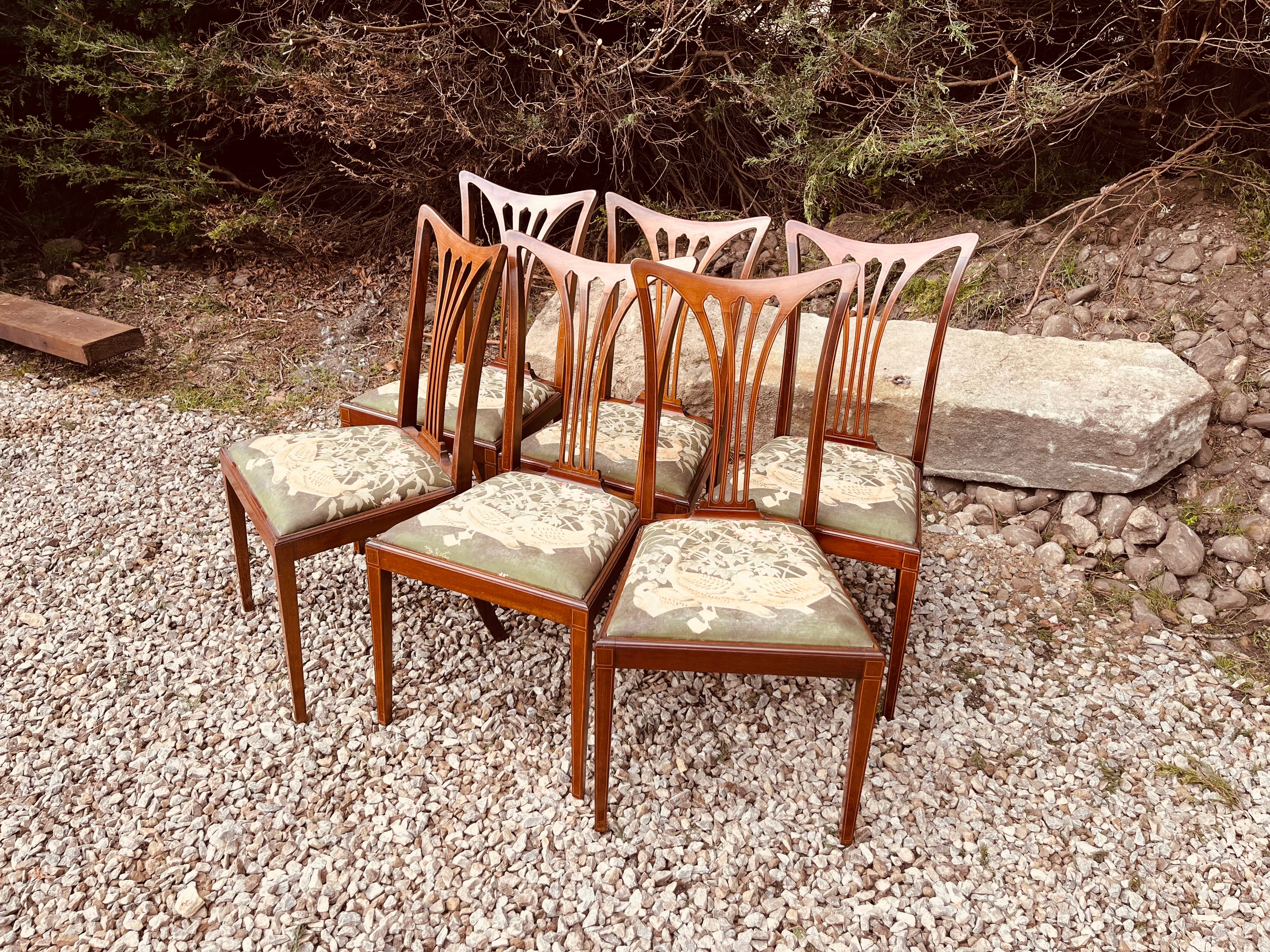 Set of 6 Antique Edwardian Mahogany Dining Chairs – Sheraton Revival Inlaid Chairs Circa 1910