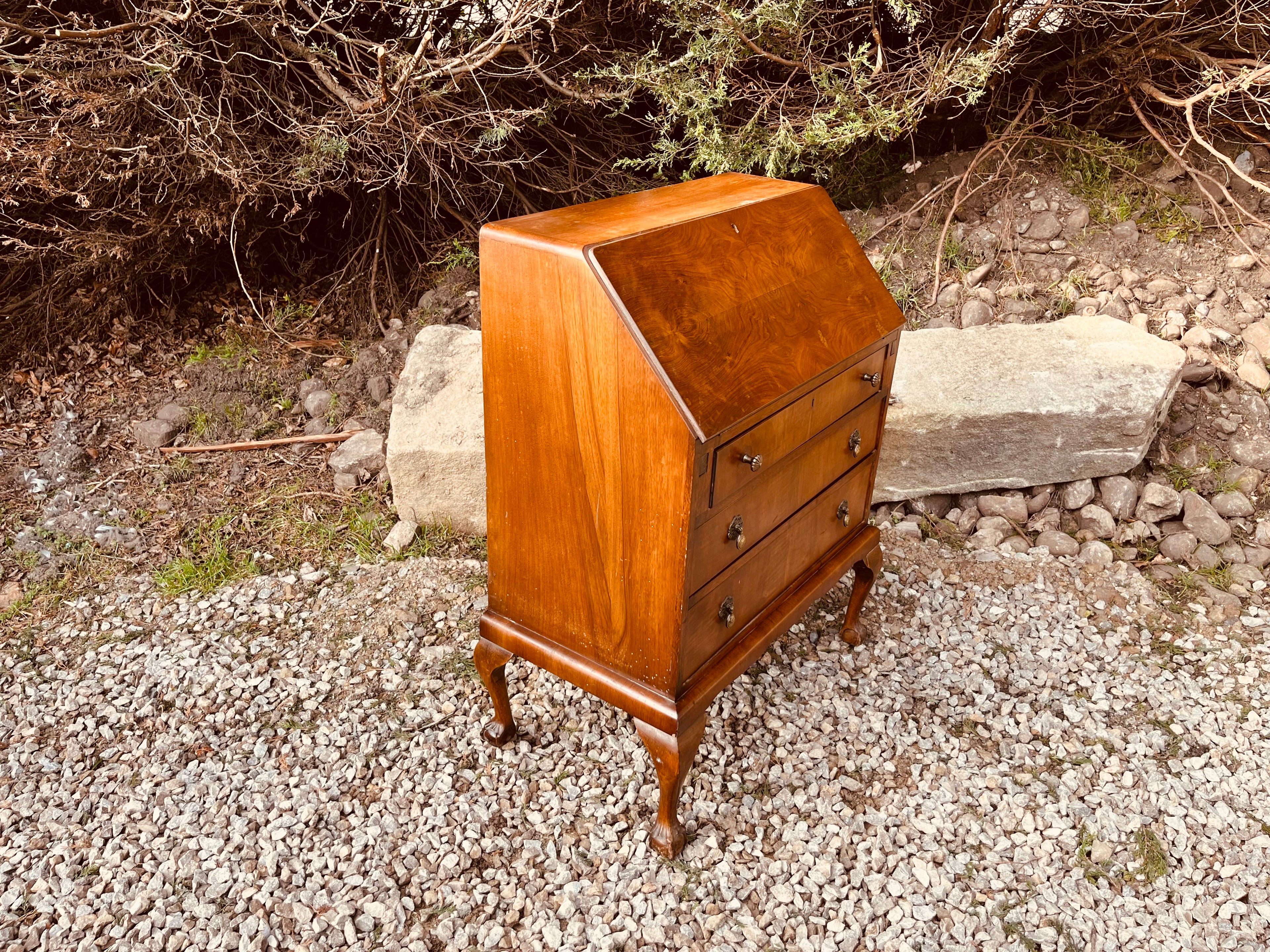 Vintage Burr Walnut Writing Bureau Desk on Cabriole Legs