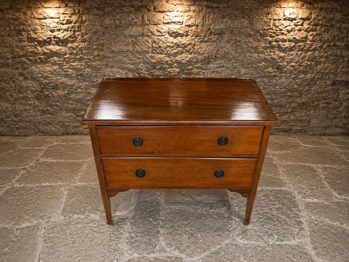 Antique Georgian Mahogany Two Drawer Chest of Drawers | Early 19th Century Bedside Chest | c.1810–1830