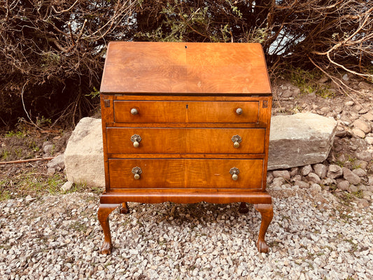 Vintage Burr Walnut Writing Bureau Desk on Cabriole Legs