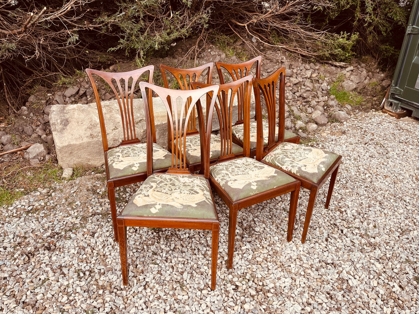 Set of 6 Antique Edwardian Mahogany Dining Chairs – Sheraton Revival Inlaid Chairs Circa 1910